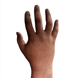 Ameen Nazir Retopo Hand Scan